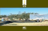 Evaluación de la sostenibilidad de las explotaciones de olivar en ...