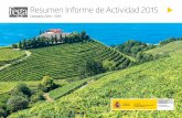 Resumen Informe de Actividad 2015