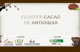 Presentación Cluster Cacao a Chocolateros de Medellín