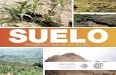 Procesos de degradación del suelo en México: erosión eólica e ...