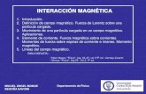 Tema 8. Interacción Magnética