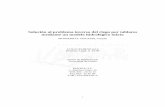 pdf Solución al problema inverso del riego por tablares mediante un ...