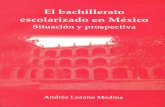 Lozano, A. (2010). El bachillerato escolarizado en México. Situación ...