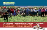 Dinamismo económico en el Valle de Condebamba: el aportes de ...