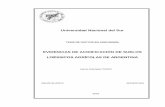 Tesis de doctor en agronomía_ITURRI.pdf