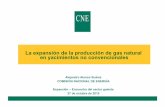 La expansión de la producción de gas natural en yacimientos no ...