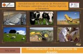 Sector Agricola y Ganadero.pps