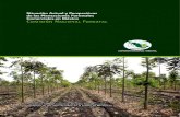 Situación actual y perspectivas de las plantaciones forestales ...