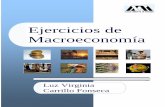 Ejercicios Macroeconomia - Virgina Fonseca