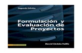Formulación y-evaluación-de-proyectos (1)