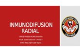 Inmunodifusion radial