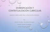 8. diversificación y contextualización curricular