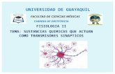Exposicion transmisores-sinapticos (1)