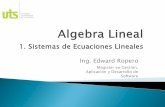 Algebra lineal 1. sistemas de ecuaciones lineales