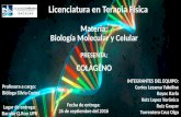 Colageno biologia molecular y celular