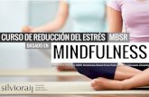 Curso Mindfulness MBSR - Silvio Raij