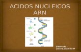 Ácidos nucleicos ARN