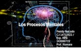 Presentación los procesos mentales ( fisiologia y conducta)