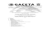Manual General de Organización de la Secretaría del Agua y Obra ...