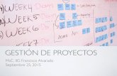 Gestión de Proyectos 2015