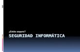 seguridad informática by Jorge Francisco Plaza Rodríguez