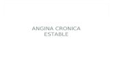 angina cronica estable  2014