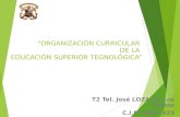 Actividad 2.1 organización curricular educación superior tecnologica