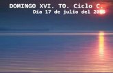 DOMINGO 16 DEL TO. CICLO C. DIA 17 DE JULIO DEL 2017. PPS.