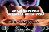 Biomoleculas y la composición química de la vida