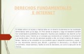 Derechos fundamentrales e internet