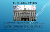 Tribunal Supremo y Audiencia Nacional