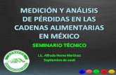 Medición y análisis de pérdidas en las cadenas alimentarias en México