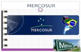 Mercosur niloy.f