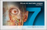 Atlas de Anatomía Humana de Visible Body para Versión en línea