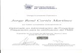 Diploma Diplomado Administracion de Proyectos JRCM F 173 KSA