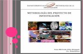 METODOLOGÍA DEL PROYECTO DE  INVESTIGACIÓN
