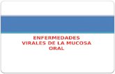 Enfermedades virales de la mucosa oral