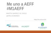 Jornada Formulación Aeff 2016