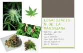 Legalizacion de la marihuana