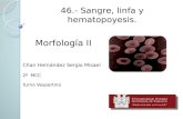 46.  sangre, linfa y hematopoyesis