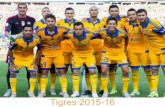 INFORME | Tigres UANL