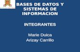 Bases de datos y sistemas de informacion