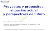 Proyectos y propósitos, situación actual y perspectivas de futuro