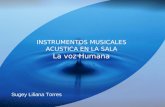 Instrumentos musicales acustica en la sala y la voz humana