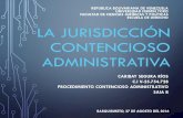 2.La Jurisdicción Contencioso Administrativa. Caribay Segura SAIA B