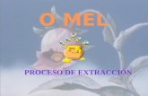 O MEL - PROCESO DE EXTRACCIÓN