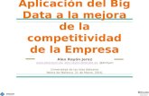Aplicación del Big Data a la mejora de la competitividad de la empresa