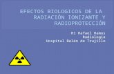 Efectos biologicos de la radiaci³n ionizante y radioprotecci³n