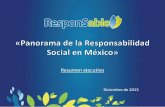 Resumen ejecutivo Panorama de la RS en México 2013