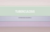 Tuberculosis (enfermería)
